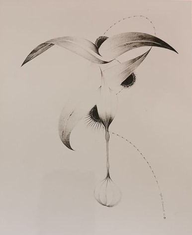 " Oignon sauvage "