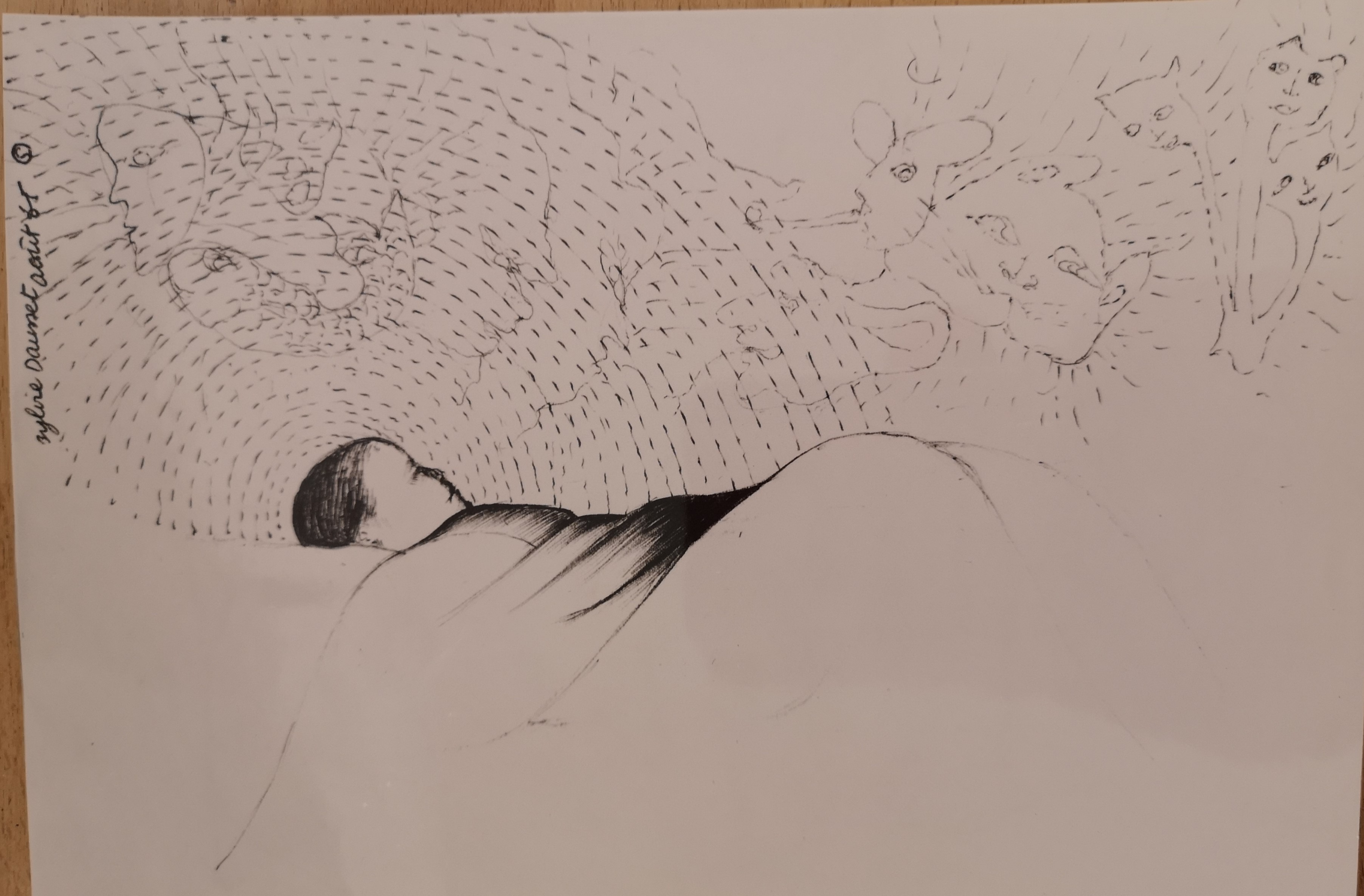 " Il dort " 23x30 cm