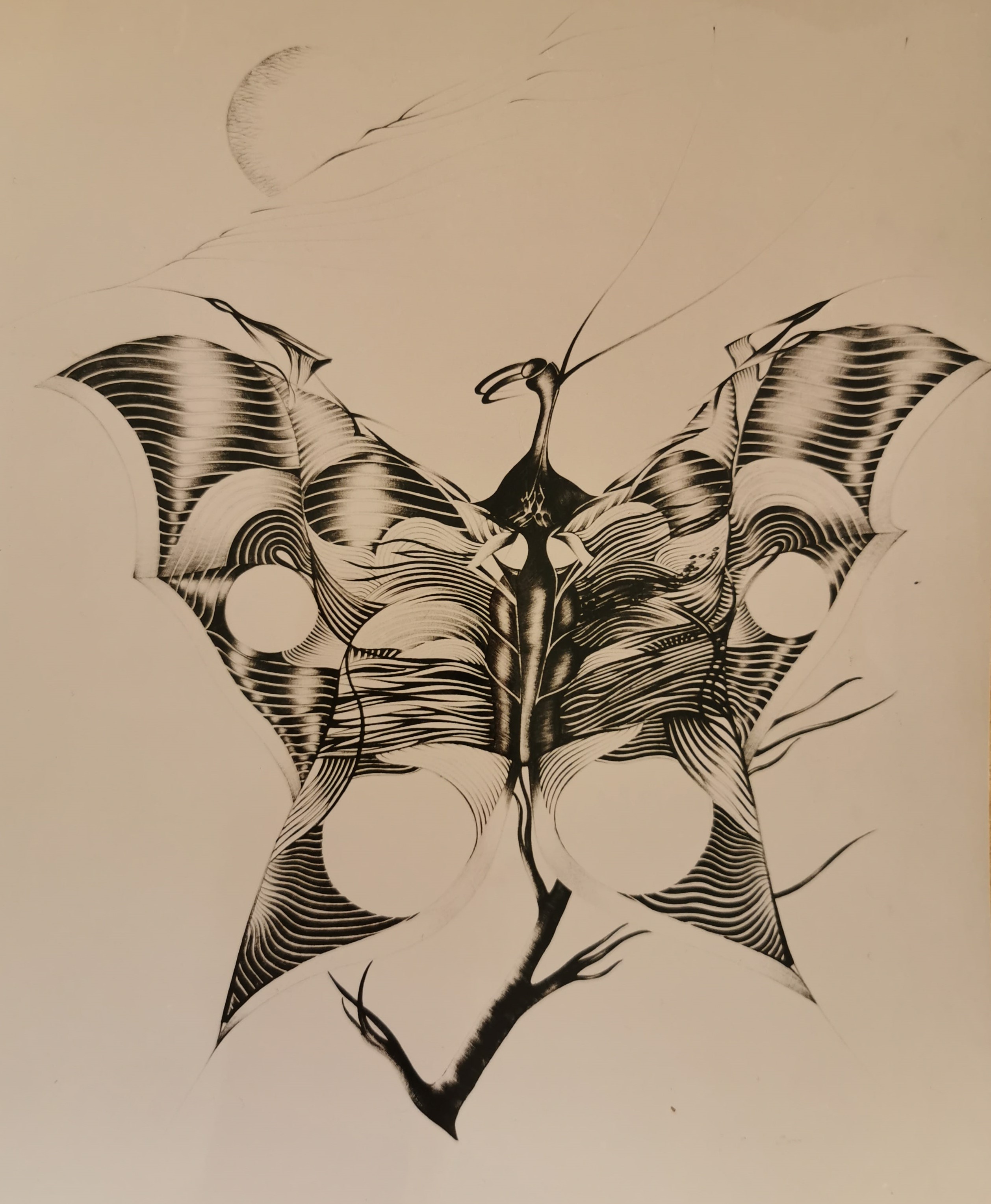 " Papillon Lilith "
