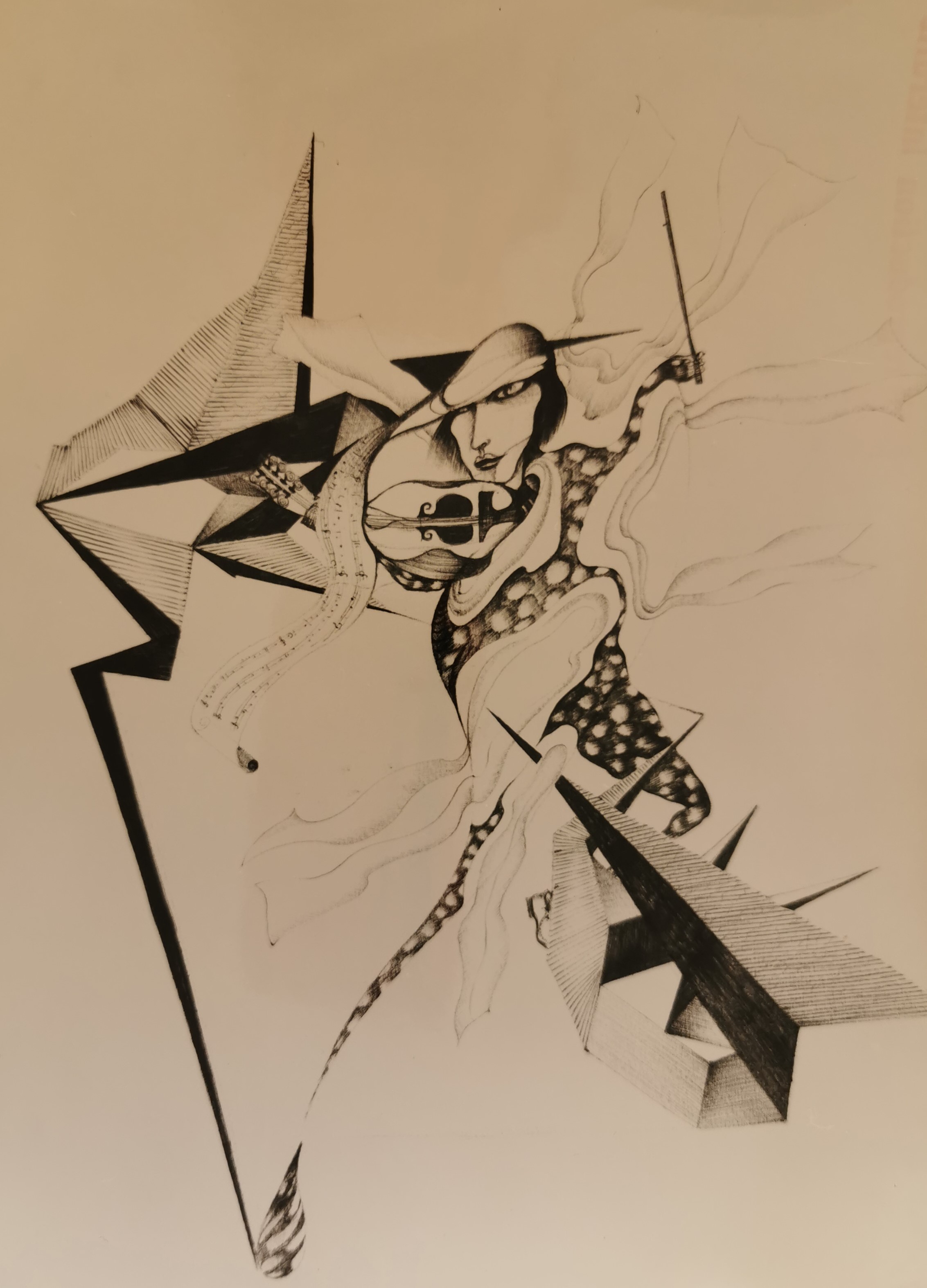 " Le troubadour de la folie "