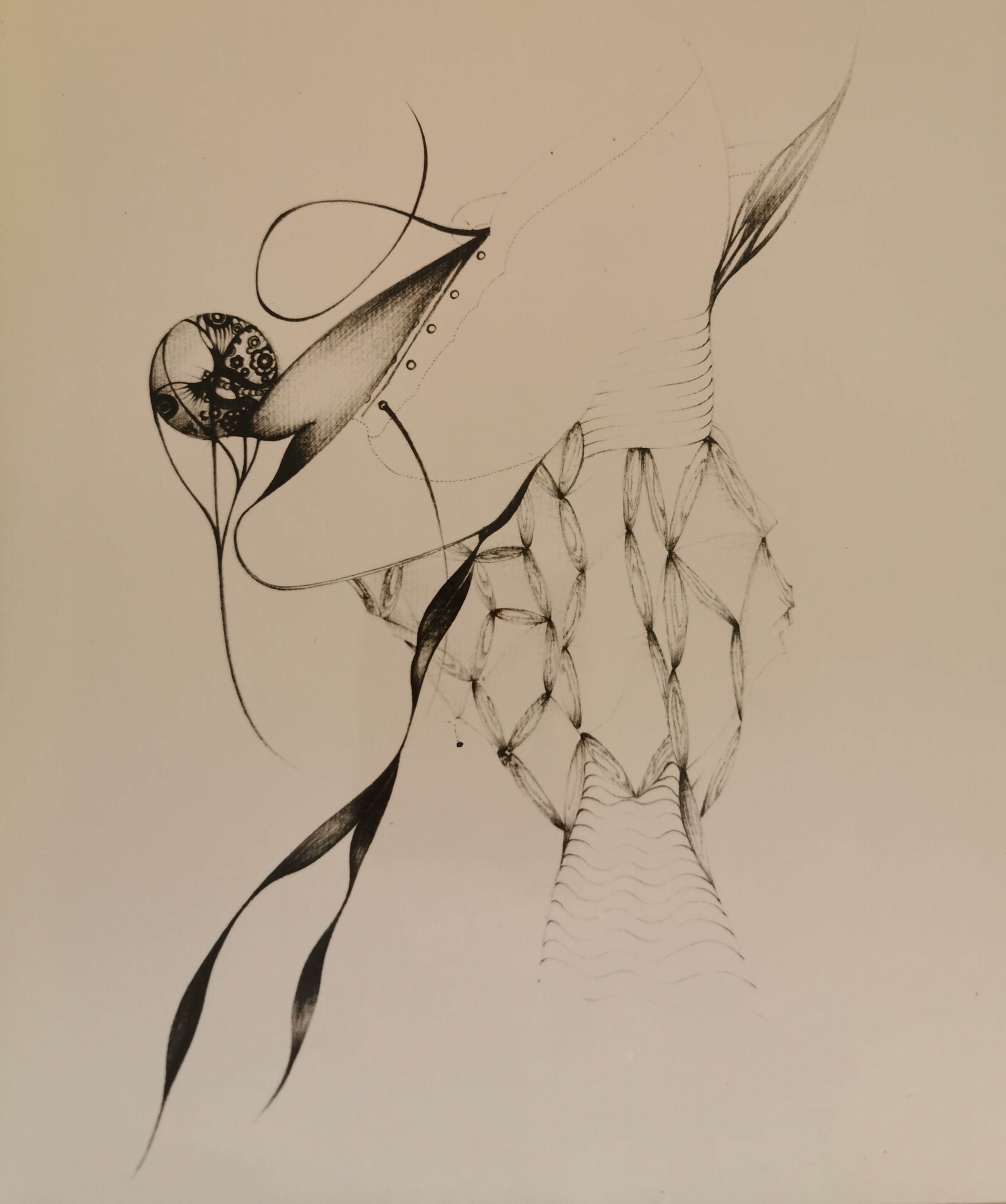 " La chaussure "