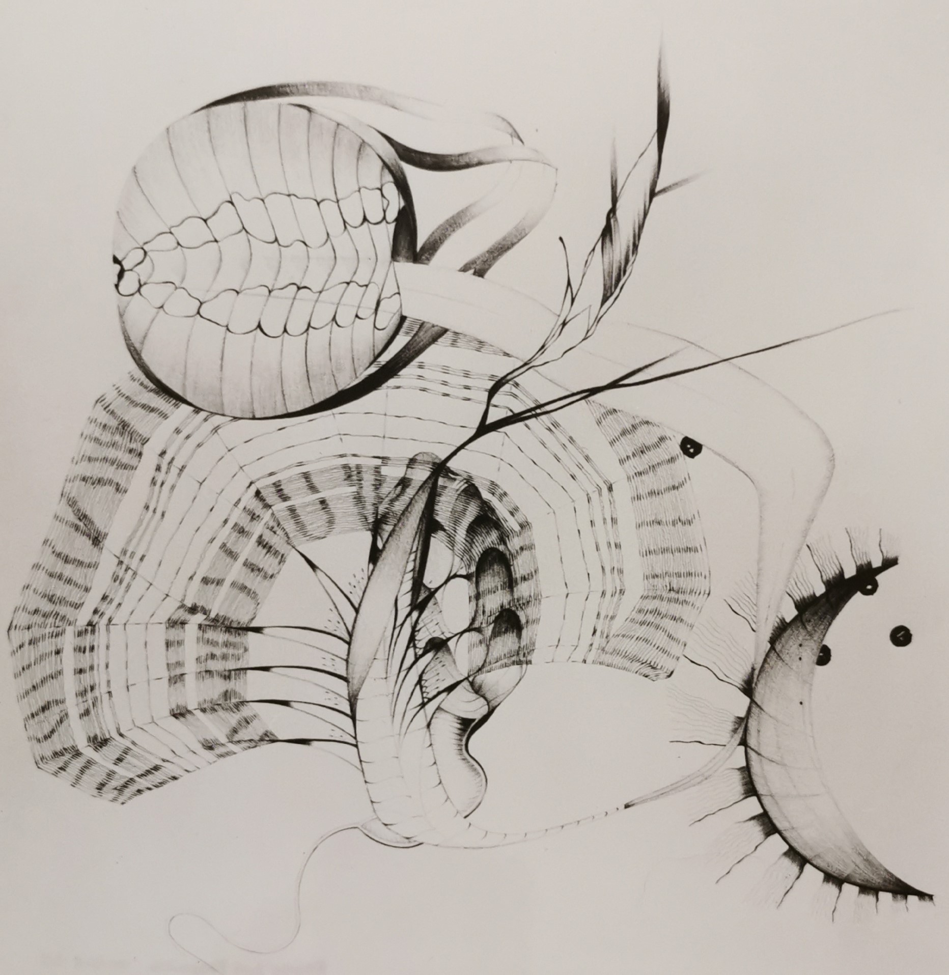 " Les deux lumineuses " Stratifié 50x50cm