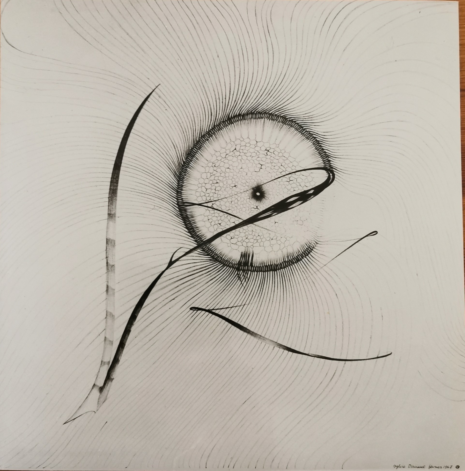 " Soleil ignoré " Stratifié 50x50cm